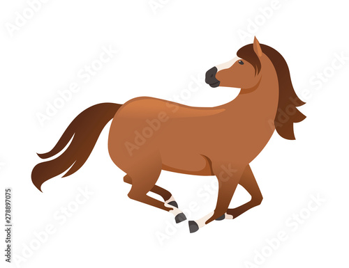 Brown horse wild or domestic animal running with head looks back cartoon design flat vector illustration isolated on white background