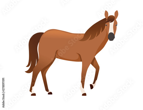 Brown horse wild or domestic animal cartoon design flat vector illustration isolated on white background