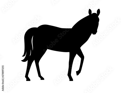 Black silhouette horse wild or domestic animal cartoon design flat vector illustration isolated on white background