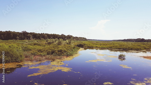 Special national park and resort Obedska Bara in Serbia, Europe, landscape photo