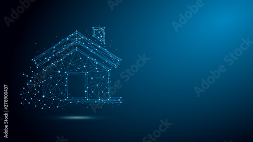 Real estate house with plexus structure