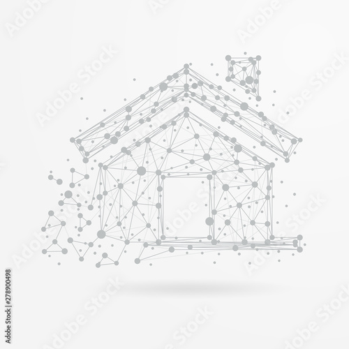 Real estate house with plexus structure