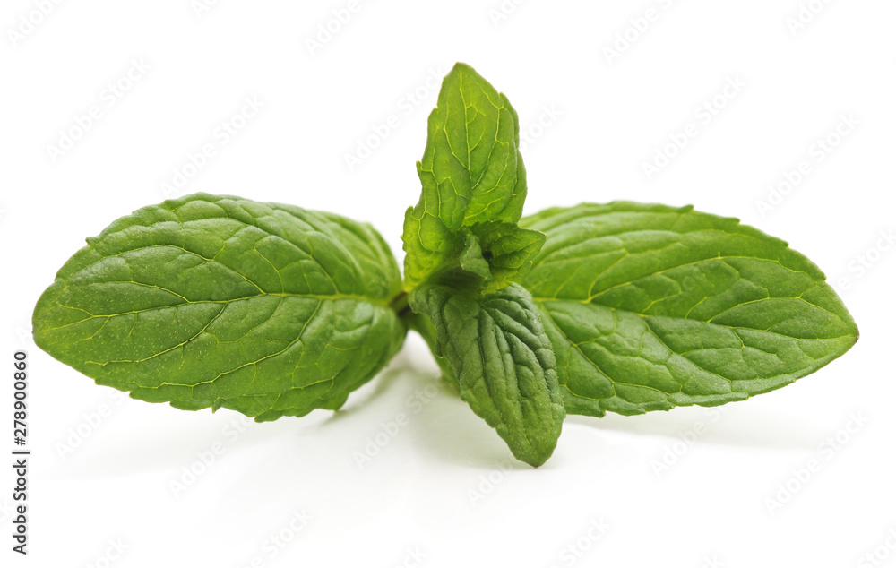Leaves of green mint. Leaves of green mint.