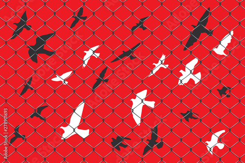 birds flying over broken barbed wire