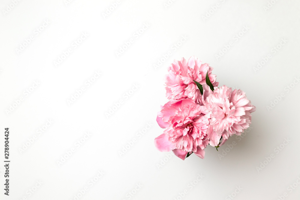 Beautiful pink peony flowers on white table with copy space for your text top view and flat lay style Beautiful pink peony flowers on white table with copy space for your text top view and flat lay style