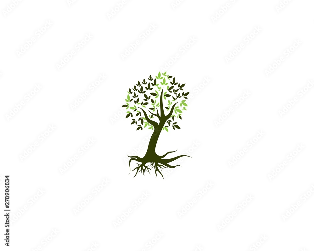 Obraz premium Green logo of tree ecology nature element vector