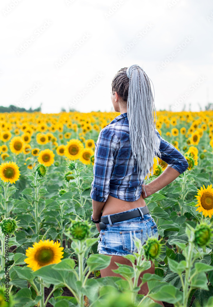 young cute tanned country female with afro-braids on the sunflowers field young cute tanned country female with afro-braids on the sunflowers field