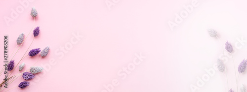 Dried flowers of gently purple color on a pink background.  Flowers concept.  Place for text. Flat lay.