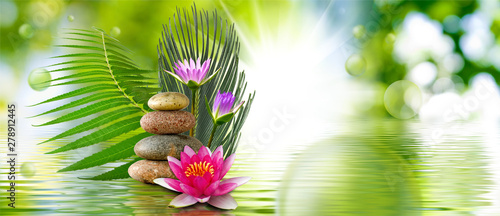 Photography lotus flower and stones on water