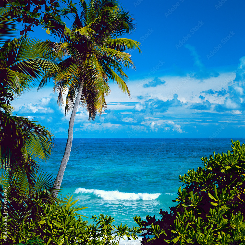 Seychellen, einsamer Strand
