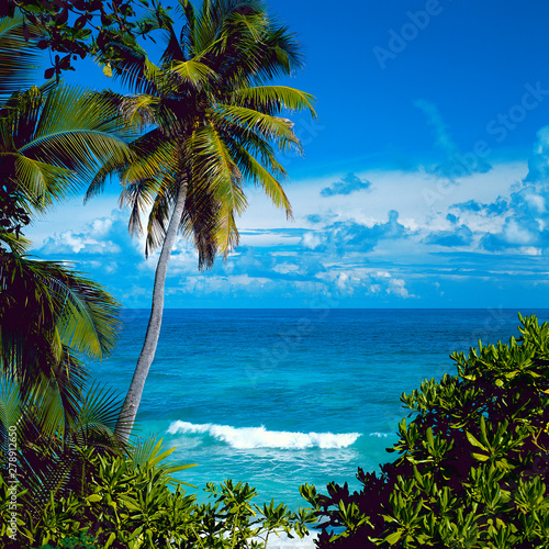 Seychellen  einsamer Strand
