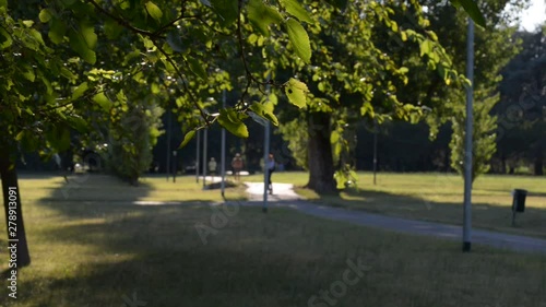 a passeggio nel parco con il proprio cane in una splendida giornata di vacanza photo