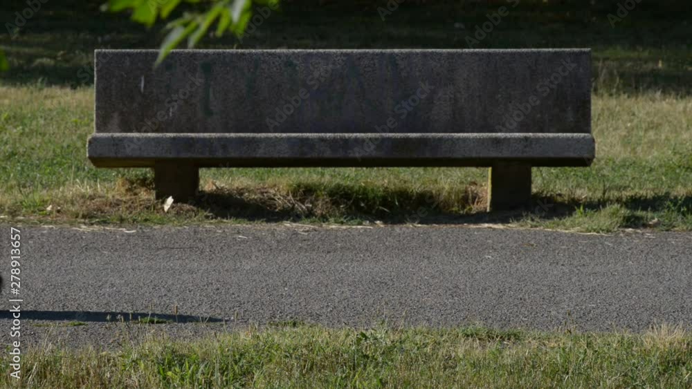 a passeggio nel parco con il proprio cane in una splendida giornata di vacanza a passeggio nel parco con il proprio cane in una splendida giornata di vacanza