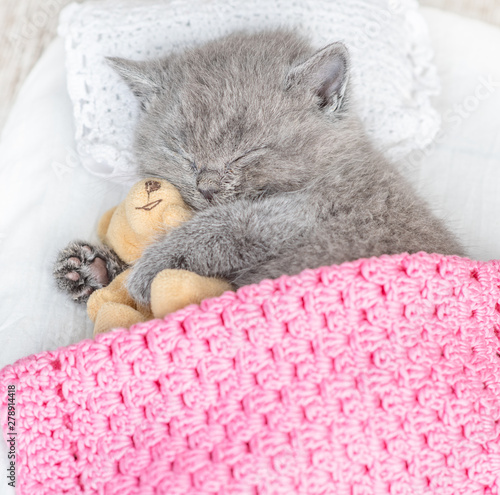 Sleeping on the bed kitten hugs toy bear. Top view