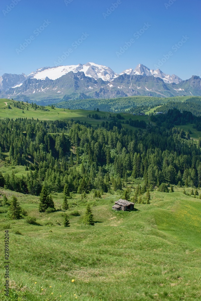 Beautiful mountain scenery with green pastures and Marmolada peak on the horizon -  Dolomites Italy.