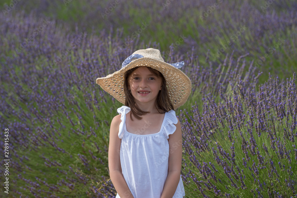 Valensole, France. Girl in lavender field