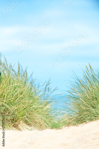 Dune with beach grass on Sylt island. © ryszard filipowicz