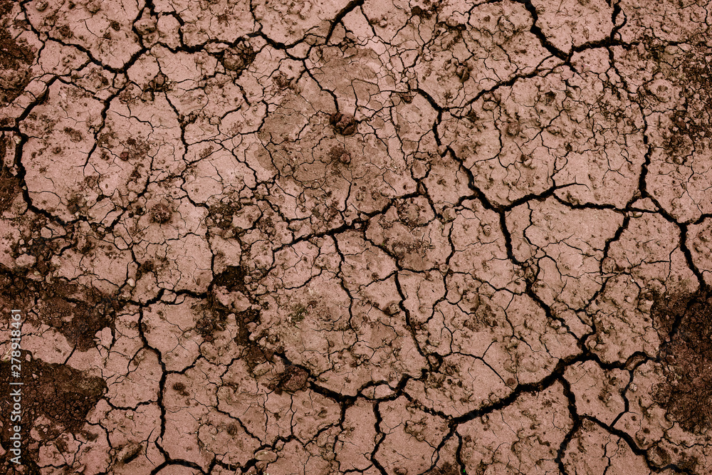 Brown Textureddead Damaged Dry Soil Ground Or Clay Background Whith Cracks. Concept Global Climate Disaster, Global Warming. Brown Textureddead Damaged Dry Soil Ground Or Clay Background Whith Cracks. Concept Global Climate Disaster, Global Warming.
