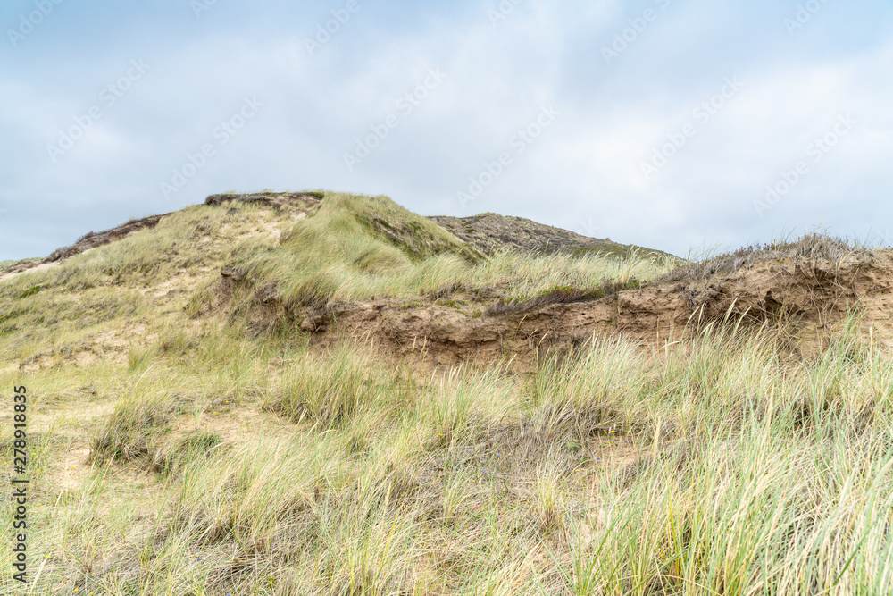 Dune with beach grass on Sylt island.