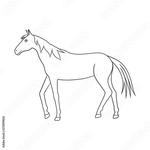 Vector design of horse and dapple symbol. Set of horse and fauna vector icon for stock.