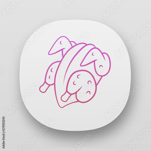 Chicken carcase app icon. UI/UX user interface. Butchers meat. Meat production and sale. Protein source. Butchery business. Web or mobile applications. Vector isolated illustrations