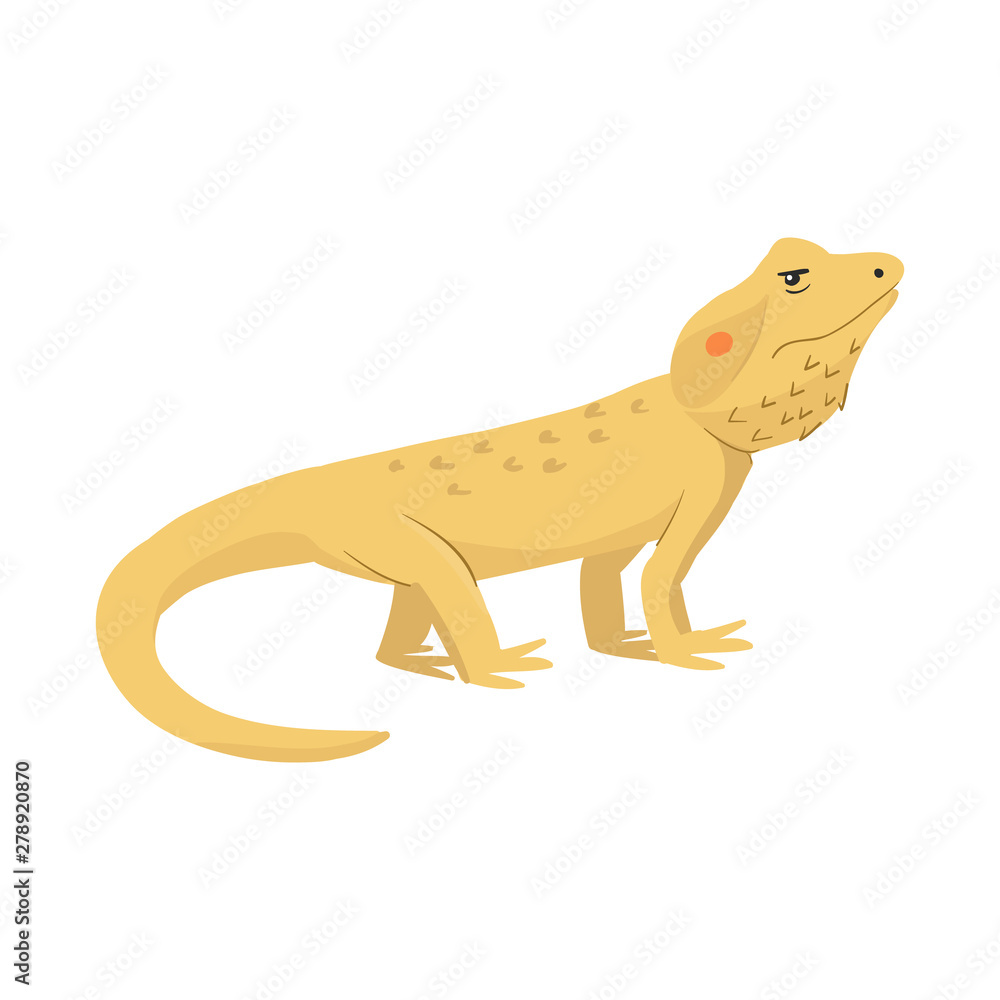 Isolated object of lizard and agama symbol. Collection of lizard and creature stock symbol for web. Isolated object of lizard and agama symbol. Collection of lizard and creature stock symbol for web.
