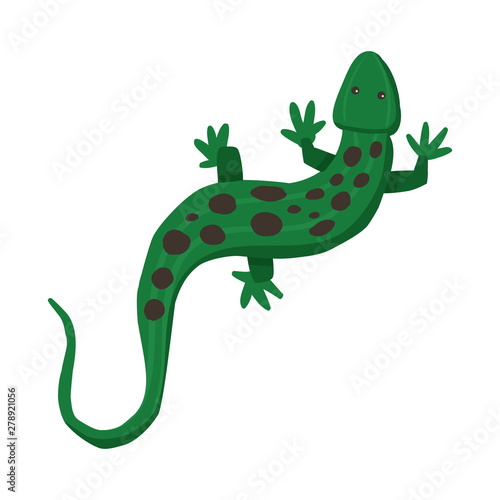 Vector design of lizard and green icon. Collection of lizard and crawl stock vector illustration.