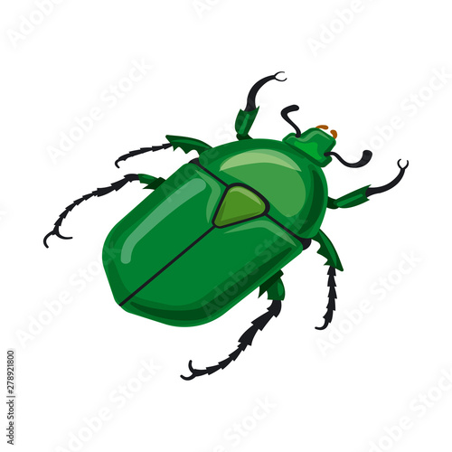 Vector design of beetle and green sign. Set of beetle and dung stock symbol for web.