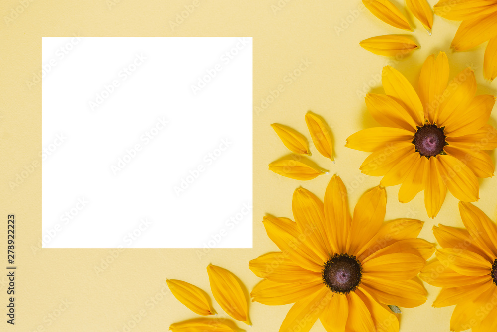 Creative composition with flowers. Yellow flowers represented on pastel yellow background. Summer and autumn concept. Flat lay, top view, copy space