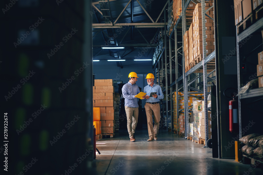 Fototapeta premium Two business partners in formal wear and with protective yellow helmets on heads walking and talking about business. Younger one holding folder with data while older one using tablet.