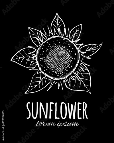 Sunflower, sketch for your design