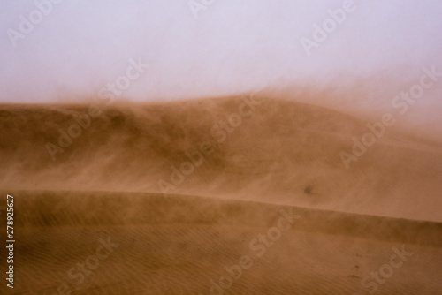 sandstorm 4 photo