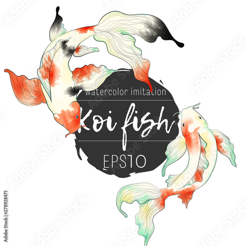 Japanese koi fish hand draw watercolor imitation illustration collection. Clip art of colorful carps in asian style.