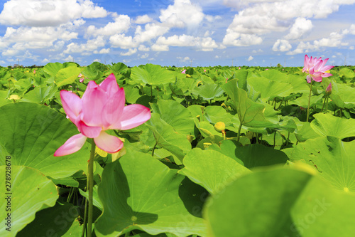 beauty of Taiwan photo