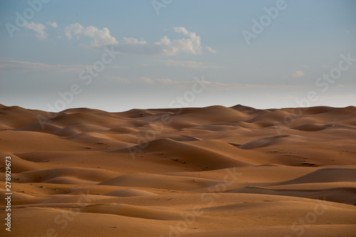 Desert Landscape © Nico