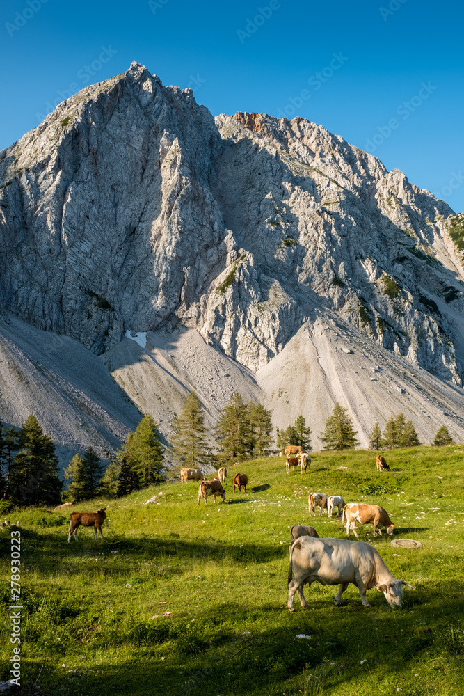 Idyllische Almlandschaft mit grasenden Kühen und einem felsigen Berggipfel im Hintergrund unter blauem Himmel