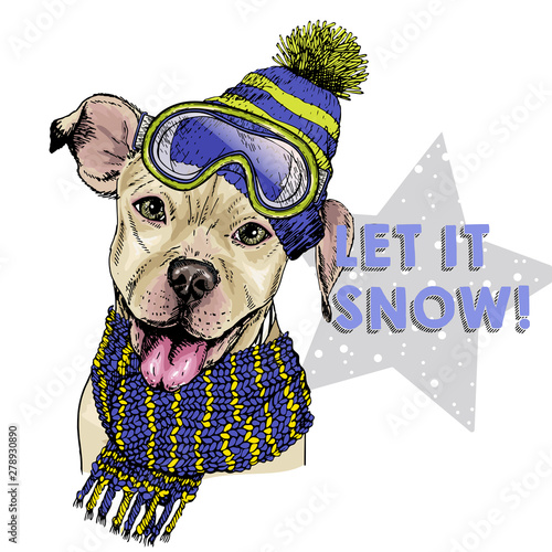 Hand drawn portrait of pit bull terrier dog wearing hat, goggles and scarf. Vector Christmas illustration. Colored puppy. Xmas, New Year. Greeting card, party flyer, invitation banner. Winter holiday.