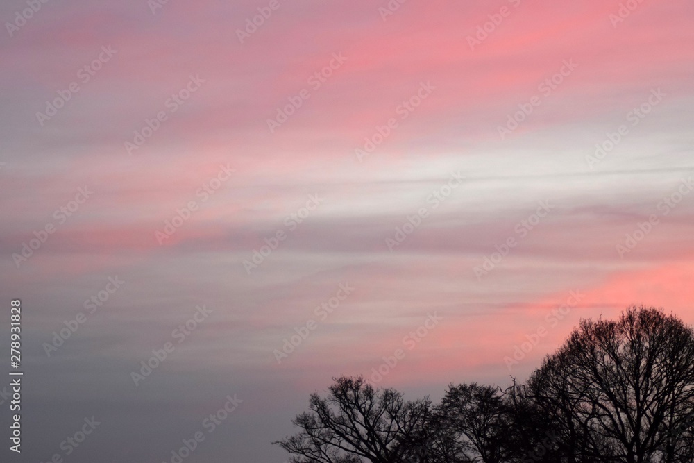 Sunset in winter with bare trees Sunset in winter with bare trees