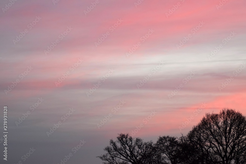 Sunset in winter with bare trees