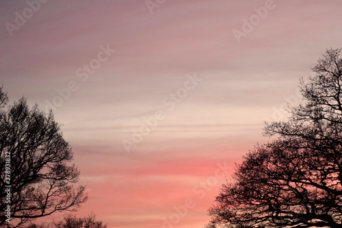 Sunset in winter with bare trees