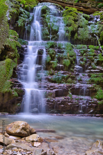 waterfall in the forest