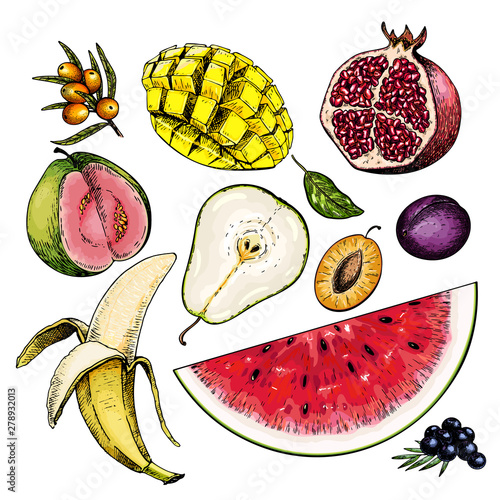 Hand drawn set of fuits. Vector colored isolated objects. Sea buckthorn, mango, pomegranate, pear, plum, banana, watermelon, blueberry. For restaurant menu, food package, poster design.