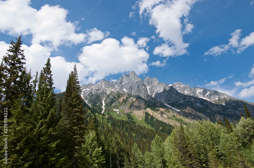 Fototapeta premium Scenic view of snowy peaks and evergreen forest, Rogers Pass National Historic Site of Canada, Canadian Rocky mountain, Glacier National Park, British Columbia, Canada