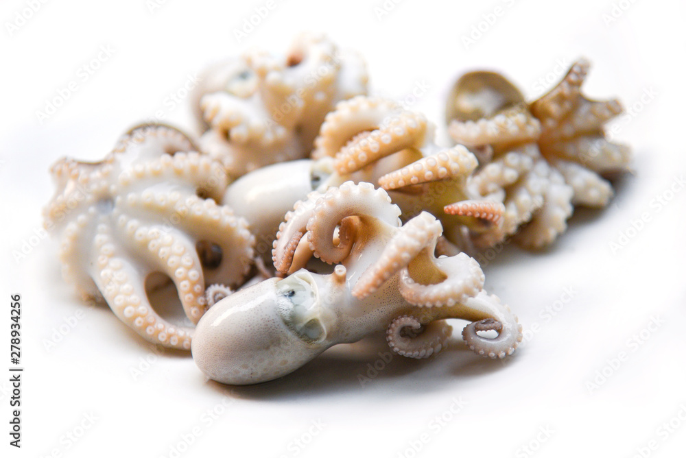 fresh octopus or squids boiled seafood on white plate