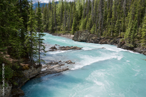 beautiful turquoise Kicking Horse river with the purest glacier water flowing past Natural Bridge in evergreen forest, near Field Mount, Yoho National Park, British Columbia, Canada
