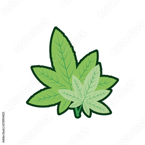 cannabis leaf plant nature icon