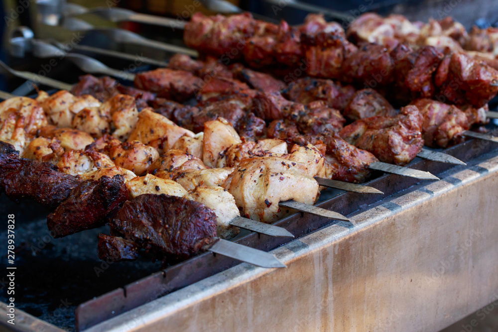 Meat kebab on skewers