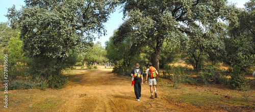 Two pilgrims between Guillena and Castilblanco in Way to Santiago (Via de la Plata) at province of Seville  Andalusia. Via de la Plata is St. James Way (Camino de Santiago) from Seville to Santiago photo