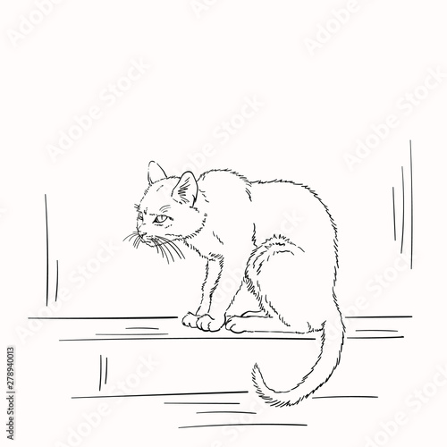 Sketch of scary sitting scruffy cat looking mad, Hand drawn vector linear illustration