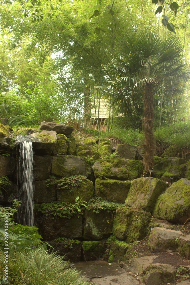 waterfall in forest waterfall in forest